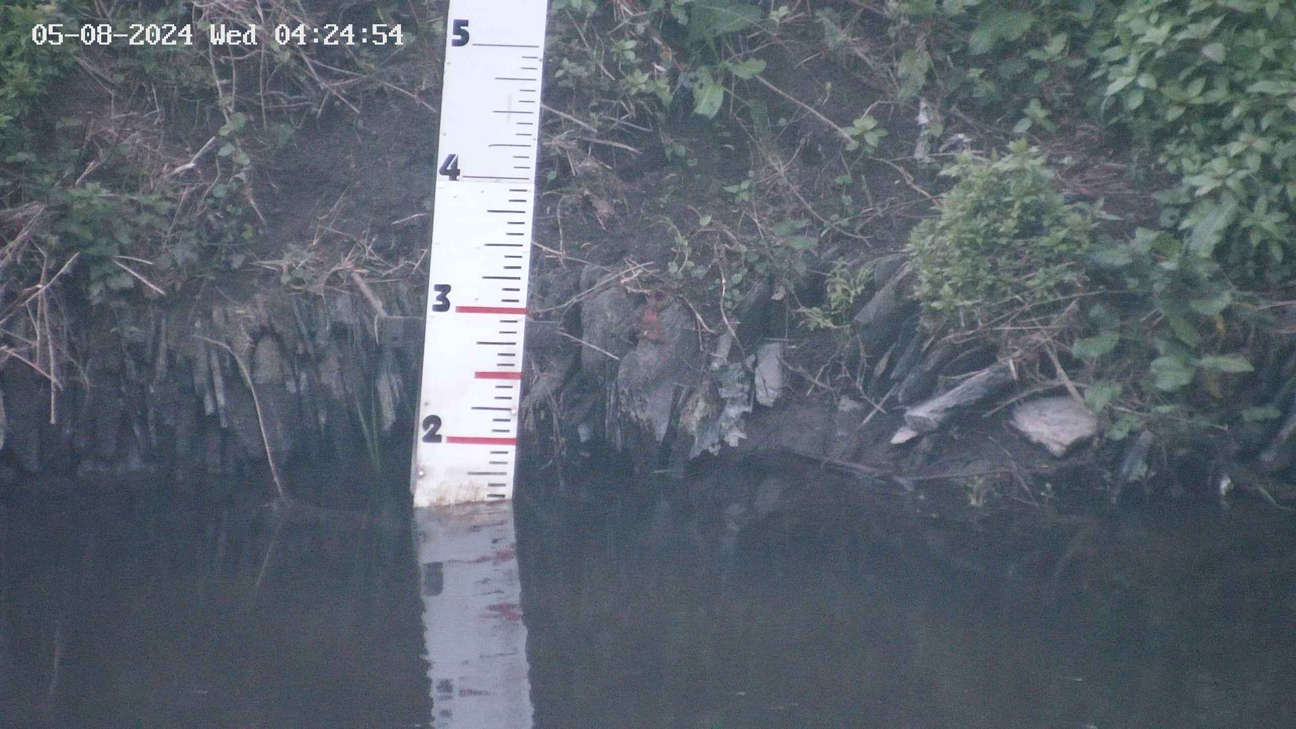 Slaney online river gauge cam