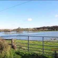 View of Slaney above Scarrawelsh bridge in full lake forming flood 