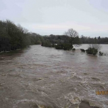 Downstream from bridge in Bunclody: note lake condition 