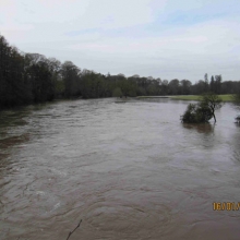 View upstream from bridge in Bunclody showing extensive flooding levels.