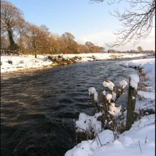 Winter 2010, downstream from Bunclody (3) 