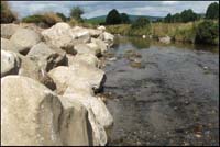 Carrigower-bank-protection3-sm