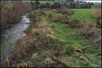 Shillelagh aftermath5-sm